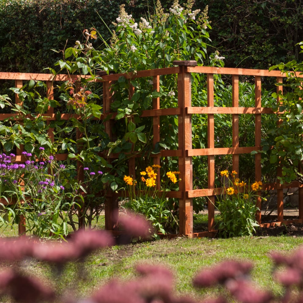 Rowlinson 6x6 Heavy Duty Trellis Dip Treated Price Comparisons | Compare The Build