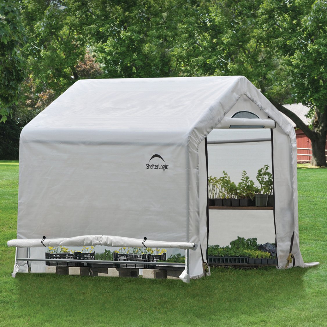 Rowlinson 6x6 Greenhouse in a Box Price Comparisons | Compare The Build