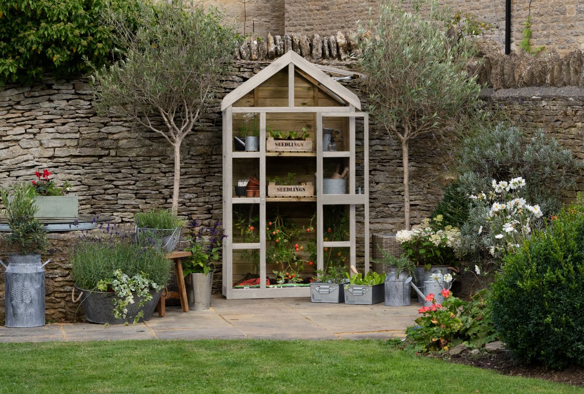 Georgian Tall Wall Greenhouse with Auto Vent
