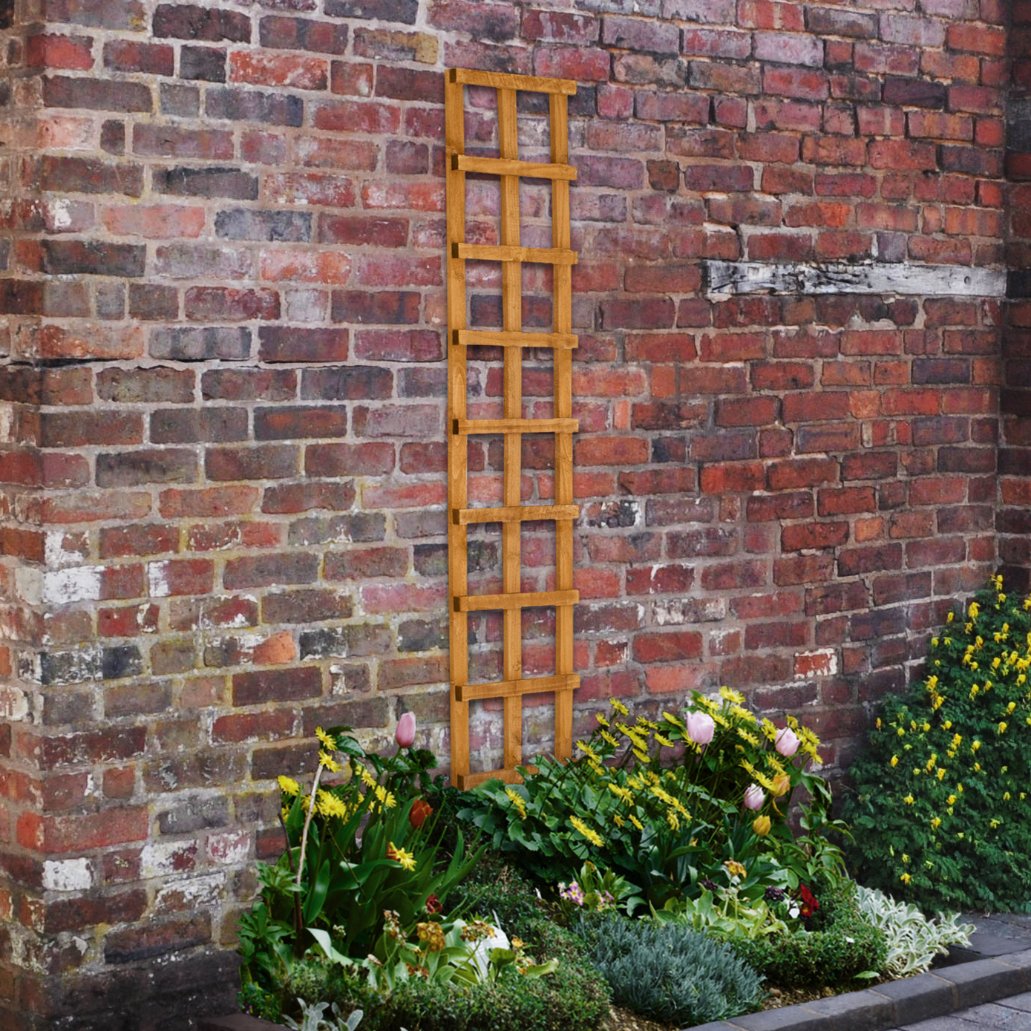 Heavy Duty Trellis - 183 x 30cm - Pack of 10 FSC® certified Price Comparisons | Compare The Build